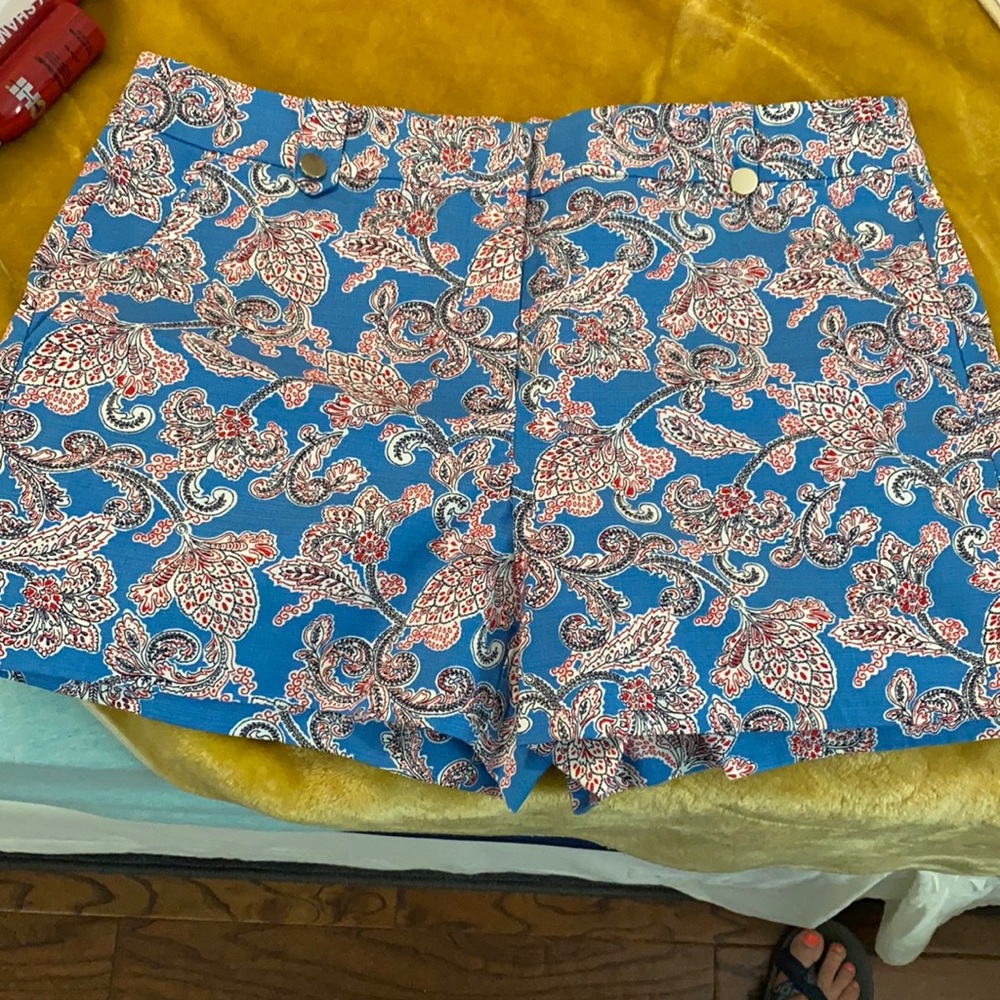 Loft shorts new